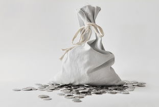 一個(gè)項目下包含了多個(gè)會(huì )計科目