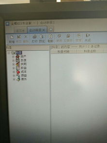 從模版中引入會(huì )計科目