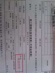 殘疾人基金計入哪個(gè)會(huì )計科目,補貼計入什么會(huì )計科目,創(chuàng  )業(yè)補貼計入什么會(huì )計科目