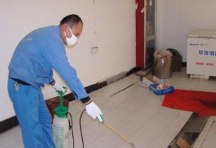 辦公室滅鼠會(huì )計科目