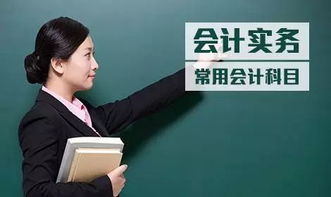 資產(chǎn)類(lèi)會(huì )計科目增加計入借方