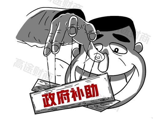 補貼,會(huì )計科目,政府