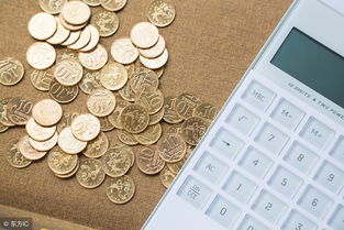 收入和費用屬于什么會(huì )計科目,服務(wù)收入屬于什么會(huì )計科目,租金收入屬于什么會(huì )計科目