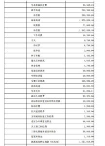 余額,鄉鎮,會(huì )計科目