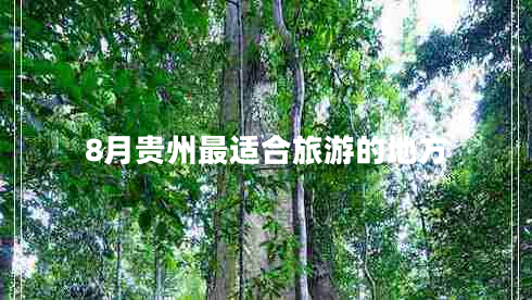 8月貴州最適合旅游的地方 8月貴州最適合旅游的地方