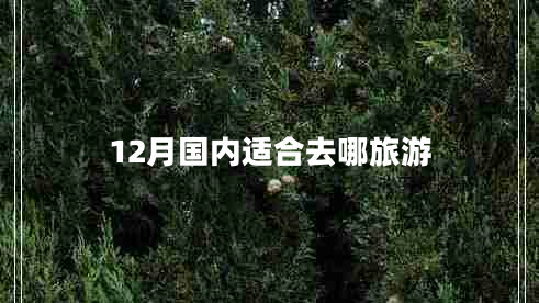 12月國內適合去哪旅游