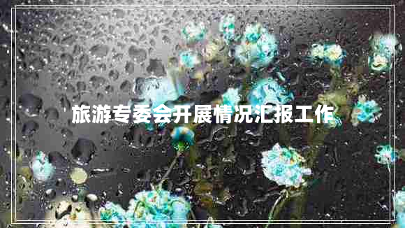 旅游專(zhuān)委會(huì )開(kāi)展情況匯報工作 旅游專(zhuān)委會(huì )開(kāi)展情況匯報工作