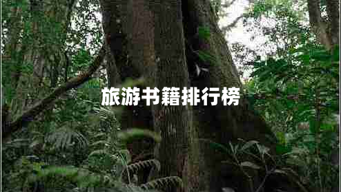 旅游書(shū)籍排行榜