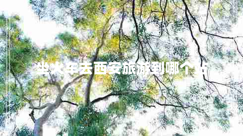 坐火車(chē)去西安旅游到哪個(gè)站