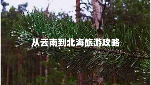 從云南到北海旅游攻略