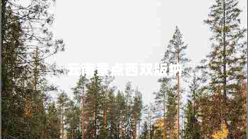 云南景點(diǎn)西雙版納