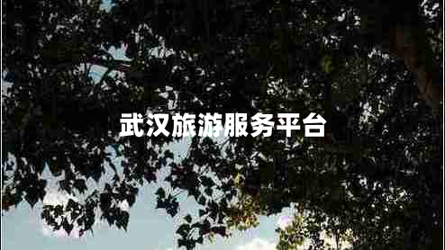 武漢旅游服務(wù)平臺
