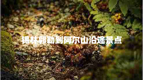 錫林郭勒到阿爾山沿途景點(diǎn)