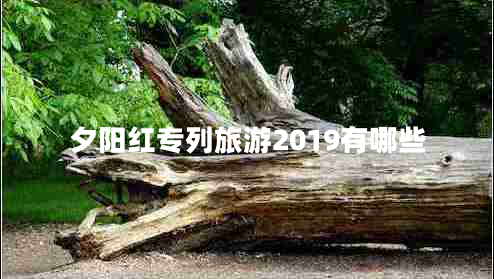 夕陽(yáng)紅專(zhuān)列旅游2019有哪些