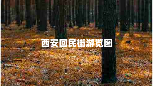 西安回民街游覽圖 西安回民街游覽圖