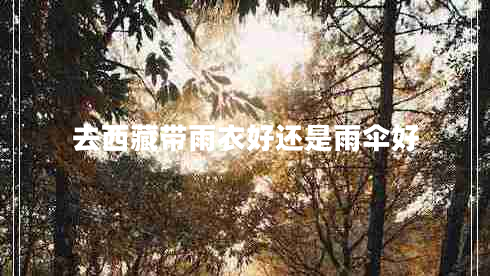 去西藏帶雨衣好還是雨傘好