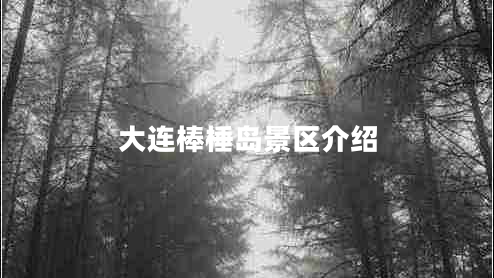 大連棒棰島景區介紹