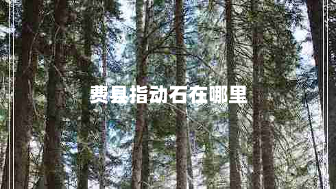 費縣指動(dòng)石在哪里