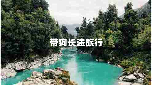 帶狗長(cháng)途旅行 帶狗長(cháng)途旅行