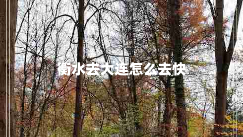 衡水去大連怎么去快