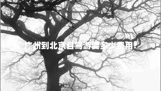 廣州到北京自駕游要多少費用?