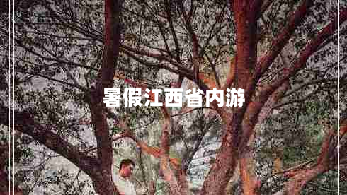 暑假江西省內游