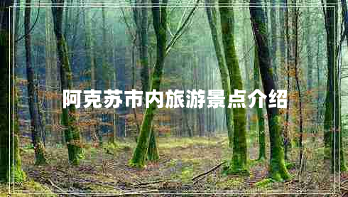 阿克蘇市內旅游景點(diǎn)介紹