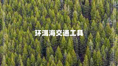 環(huán)洱海交通工具