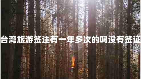 臺灣旅游簽注有一年多次的嗎沒(méi)有簽證