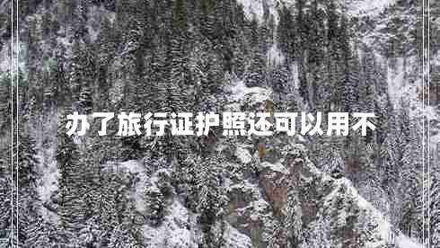 辦了旅行證護照還可以用不