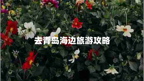 去青島海邊旅游攻略