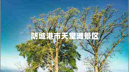 防城港市天堂灘景區