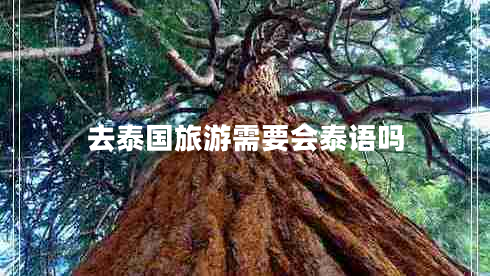 去泰國旅游需要會(huì )泰語(yǔ)嗎