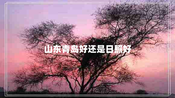 山東青島好還是日照好