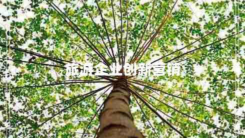 旅游企業(yè)創(chuàng  )新?tīng)I銷(xiāo)
