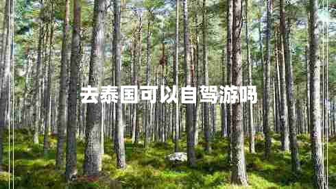 去泰國可以自駕游嗎