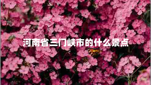 河南省三門(mén)峽市的什么景點(diǎn) 河南省三門(mén)峽市的什么景點(diǎn)