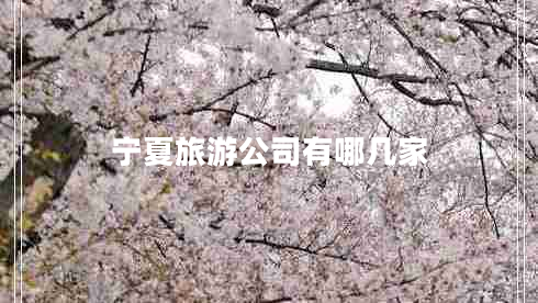 寧夏旅游公司有哪幾家
