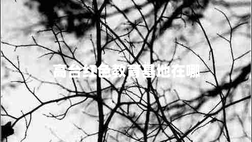 高臺紅色教育基地在哪