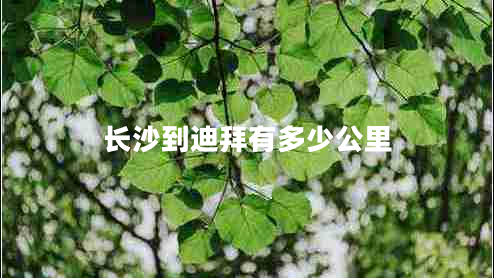 長(cháng)沙到迪拜有多少公里