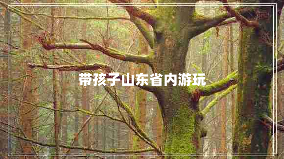 帶孩子山東省內游玩