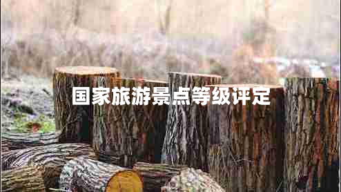 國家旅游景點(diǎn)等級評定