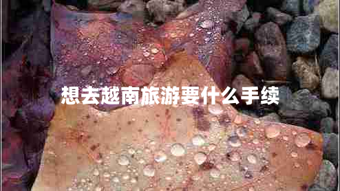 想去越南旅游要什么手續