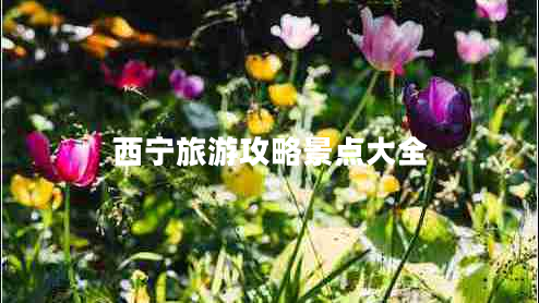 西寧旅游攻略景點(diǎn)大全