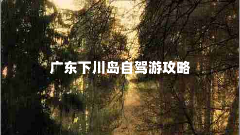 廣東下川島自駕游攻略