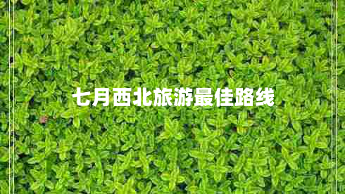 七月西北旅游最佳路線(xiàn)