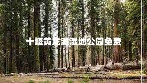 十堰黃龍灘濕地公園免費