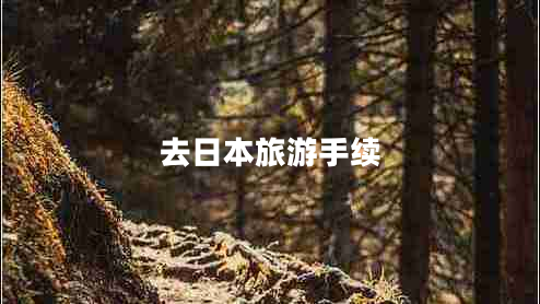 去日本旅游手續