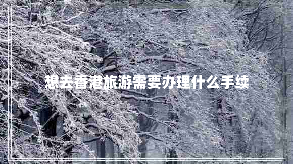 想去香港旅游需要辦理什么手續