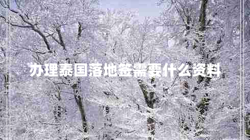 辦理泰國落地簽需要什么資料